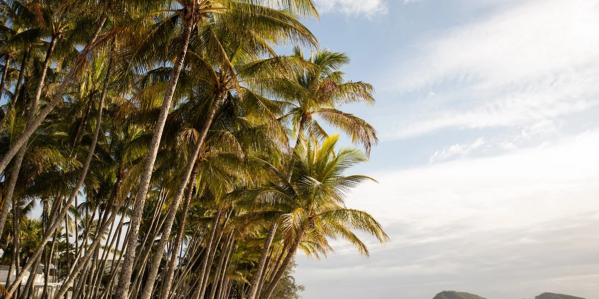 Alamanda Palm Cove by Lancemore Weddings 1200 x 900