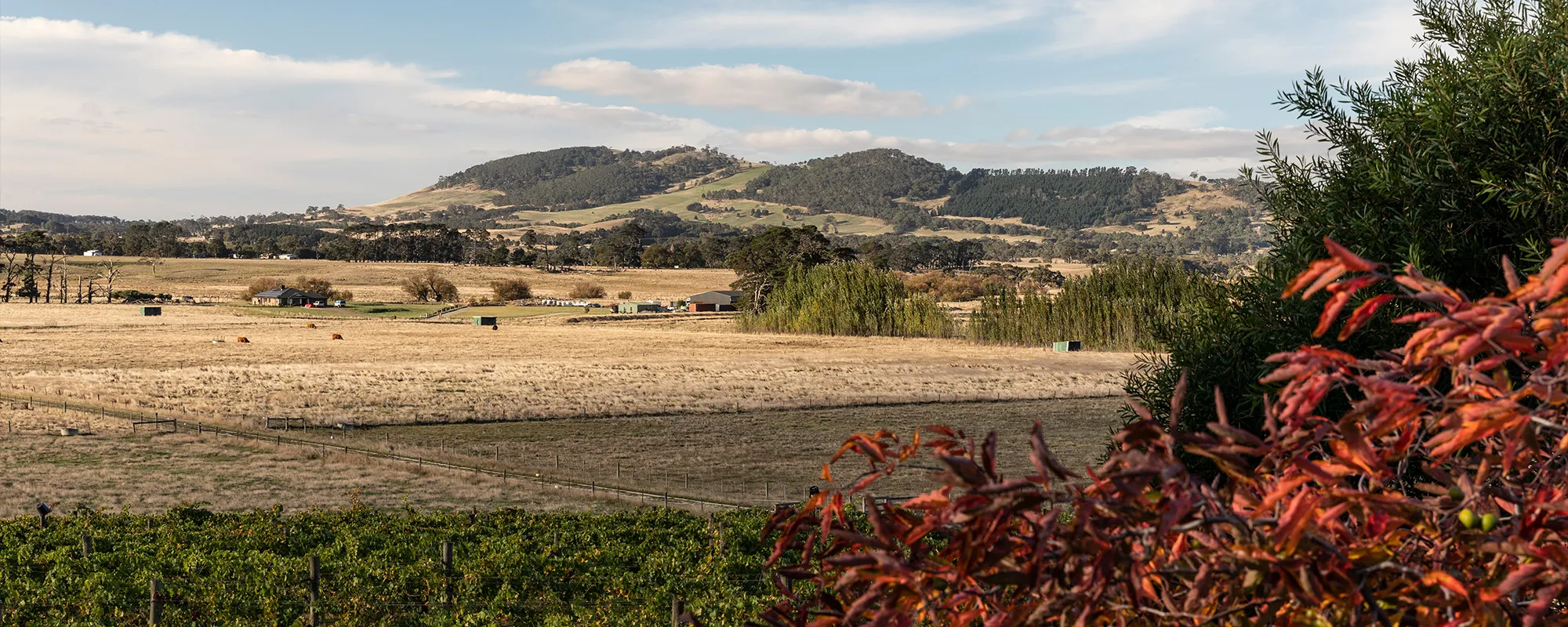 Cleveland Winery Exterior 3